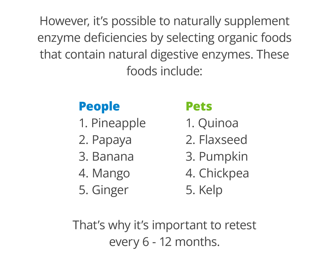 Here's an easy breakdown of food intolerances. 🍔 5Strands