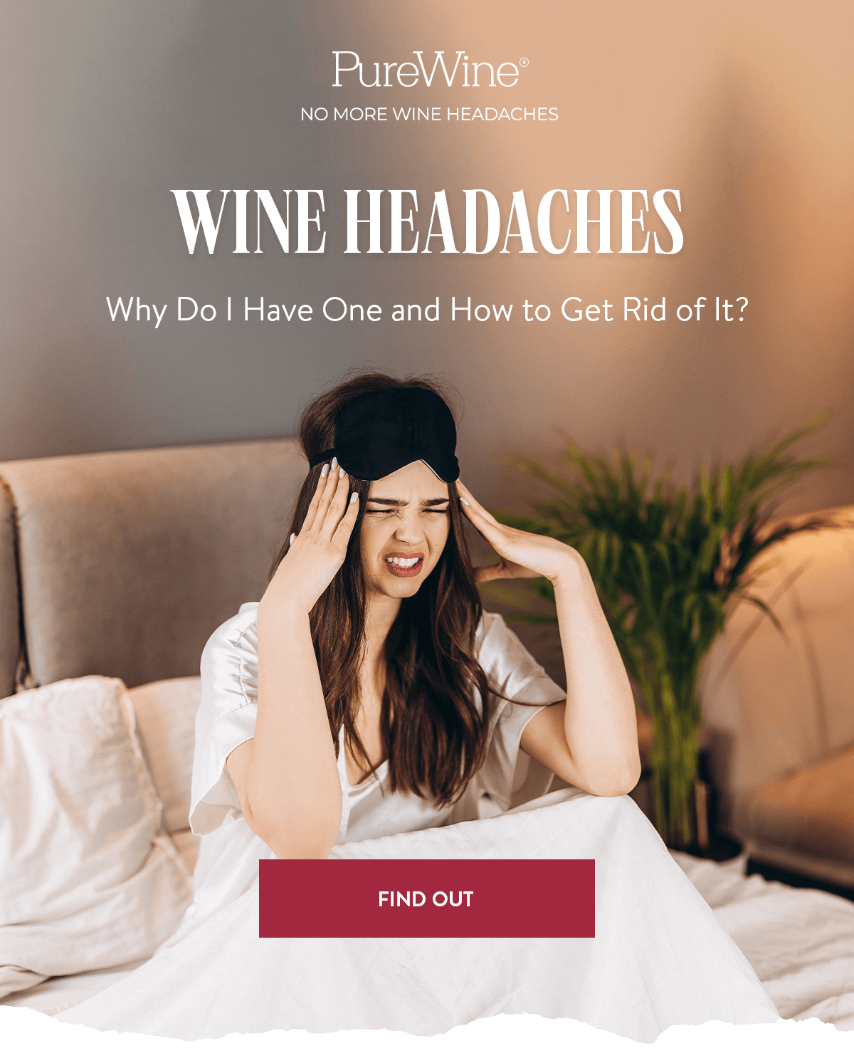 White Wine Headache Cure At Nicholas Mckillop Blog