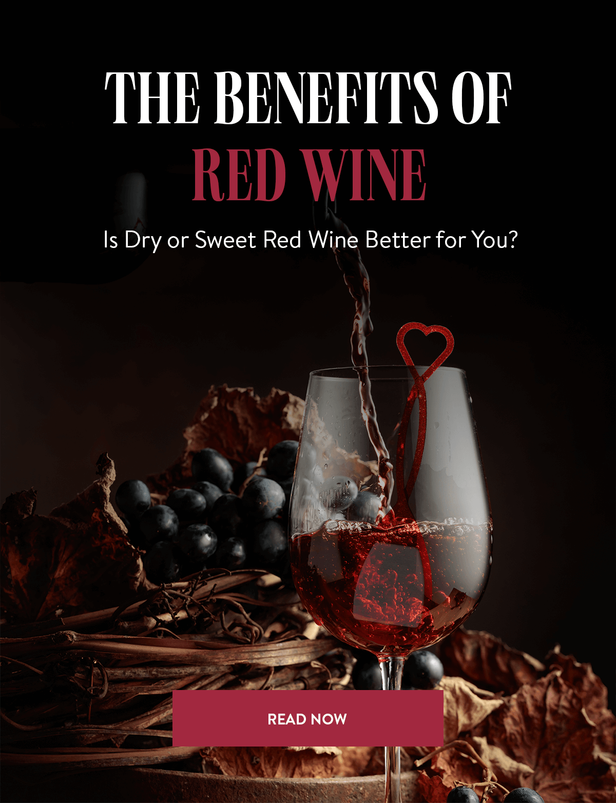 Everything about Red Wine 🍷 Pure Wine