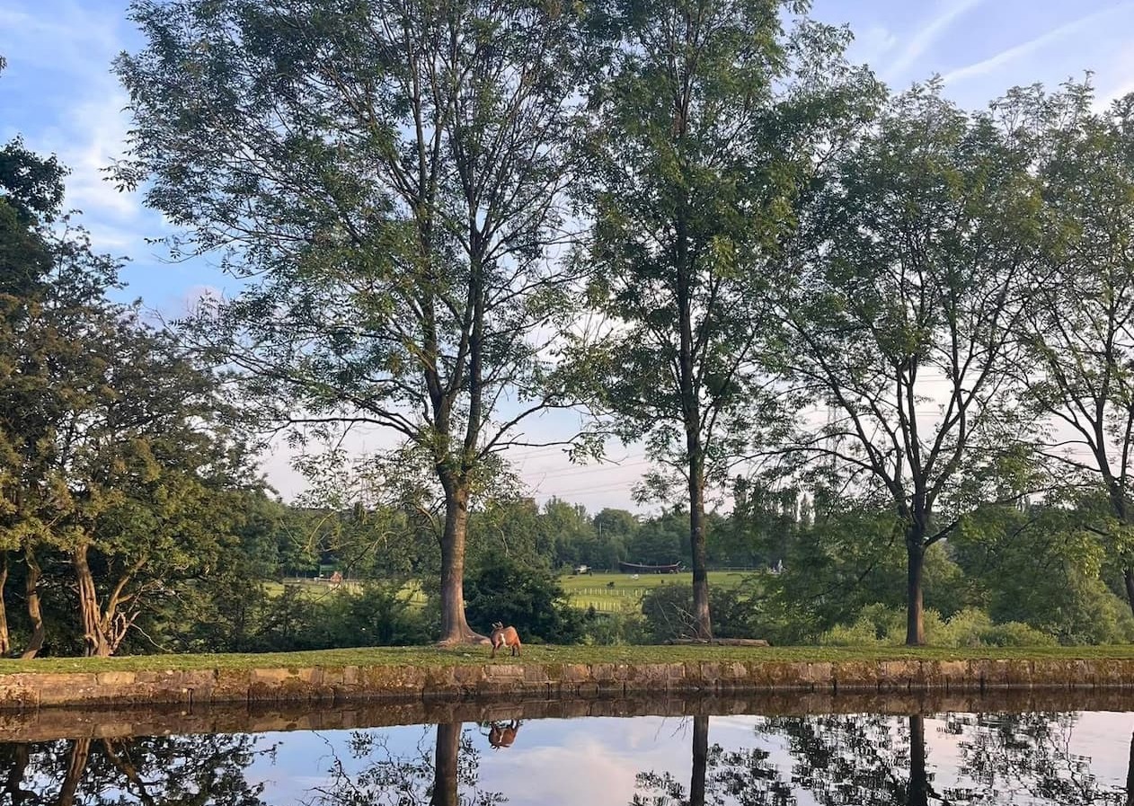 A attractive outdoor scene with green trees and a lake bathed in sunlight