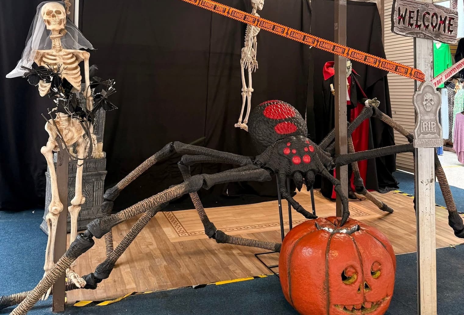 Spooky exhibition with a giant spider, pumpkin and skeleton at Tommyfield Market