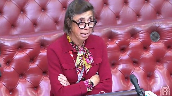 Baroness Diana Barran speaking in the House of Lords