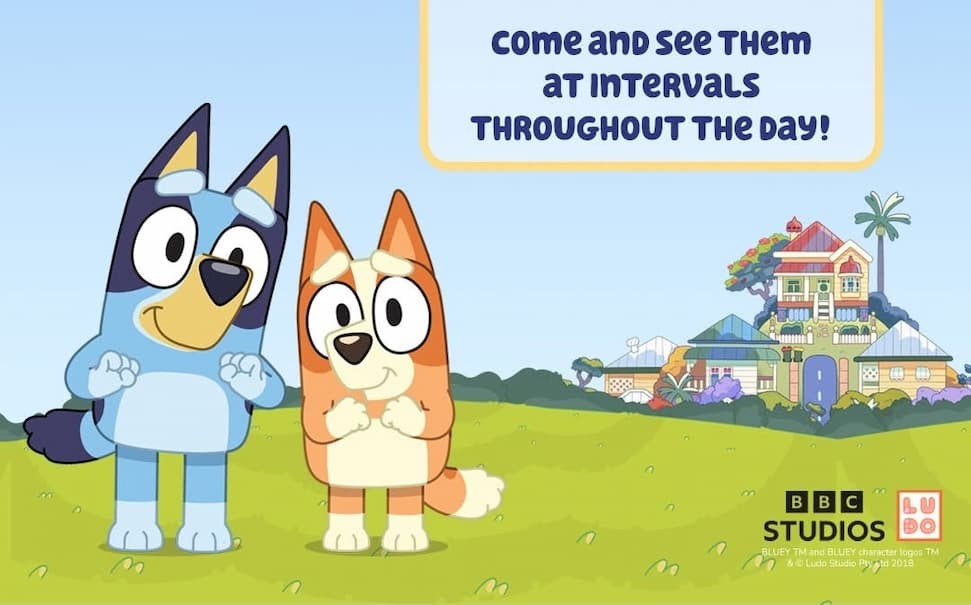 Pup duo Bluey and Bingo smiling in front of a blue sky backdrop 