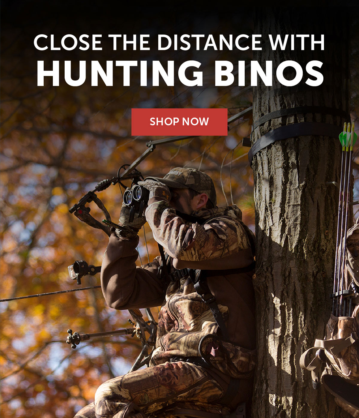 Close The Distance With Hunting Binos