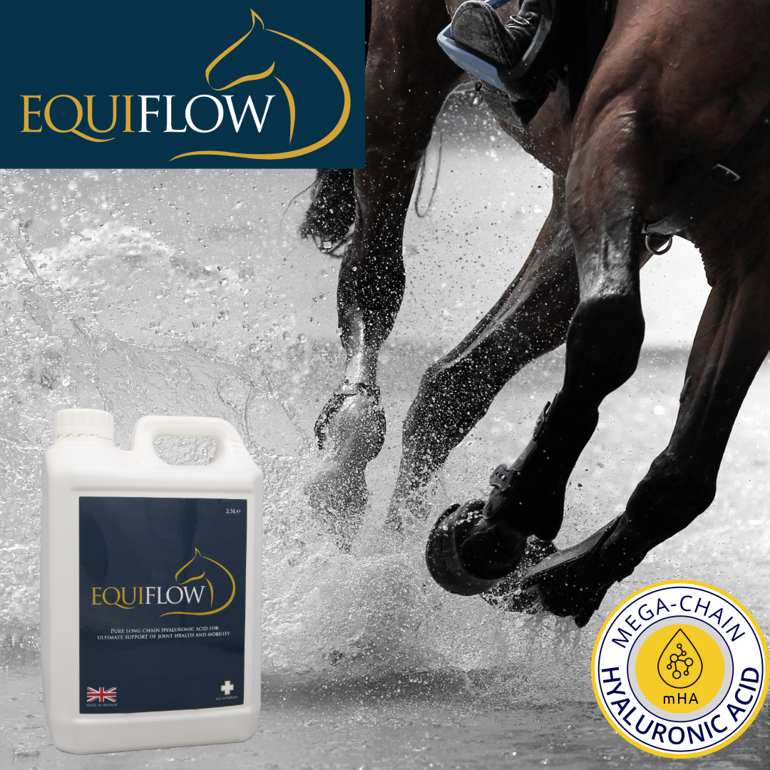 EquiFlow Horse megaHA supplements