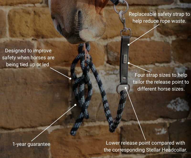 Key features of the Stellar Safety Leadrope: replaceable safety strap, four strap sizes, lower release point than the Stellar Headcollar, 1-year guarantee, designed to improve safety when horses are tied up or led