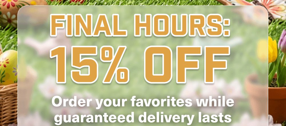 Final Hours: 15% OFF