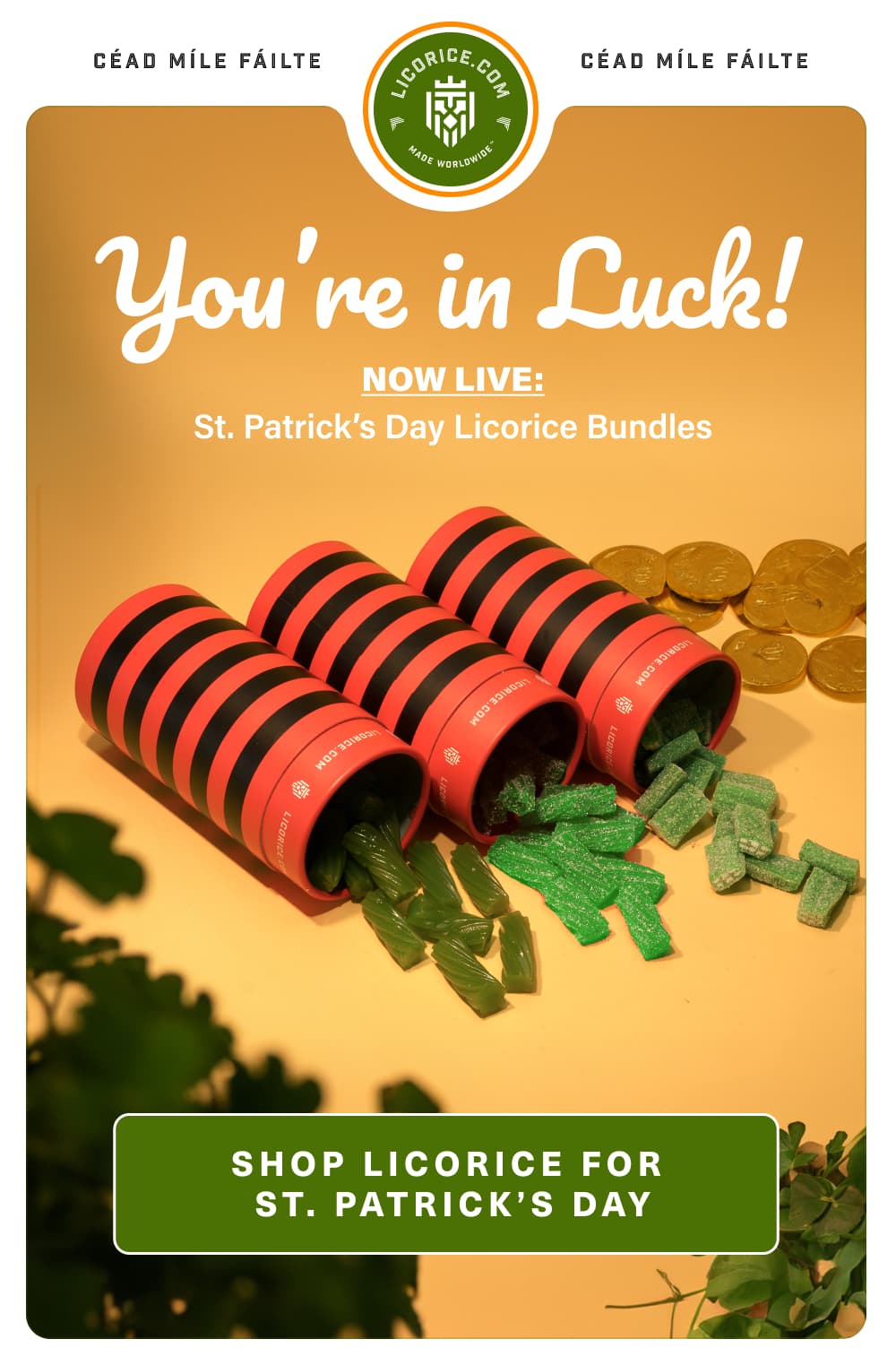 Shop Licorice for St. Patrick's Day!