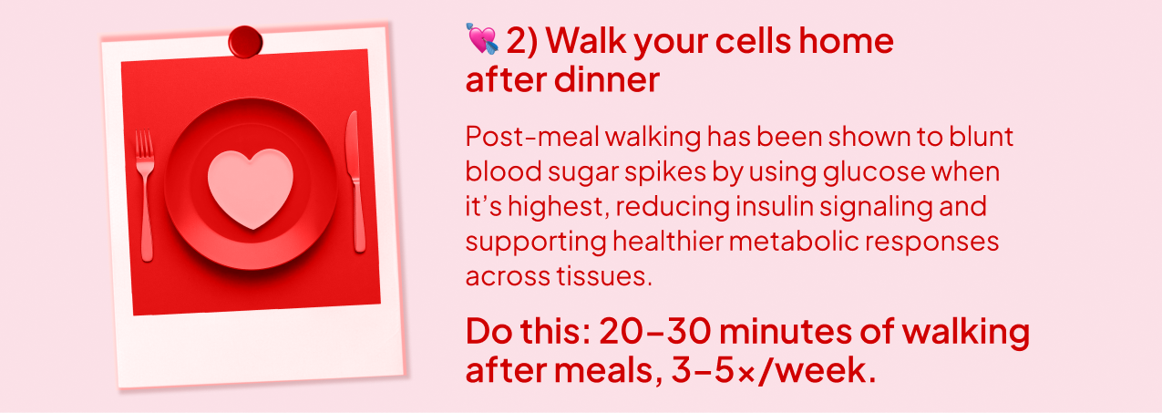 For your carb-addicted mom