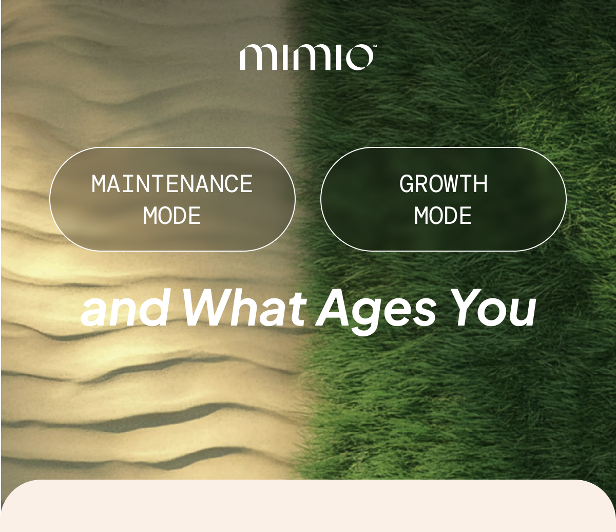 Mimio Holiday Gift Guide