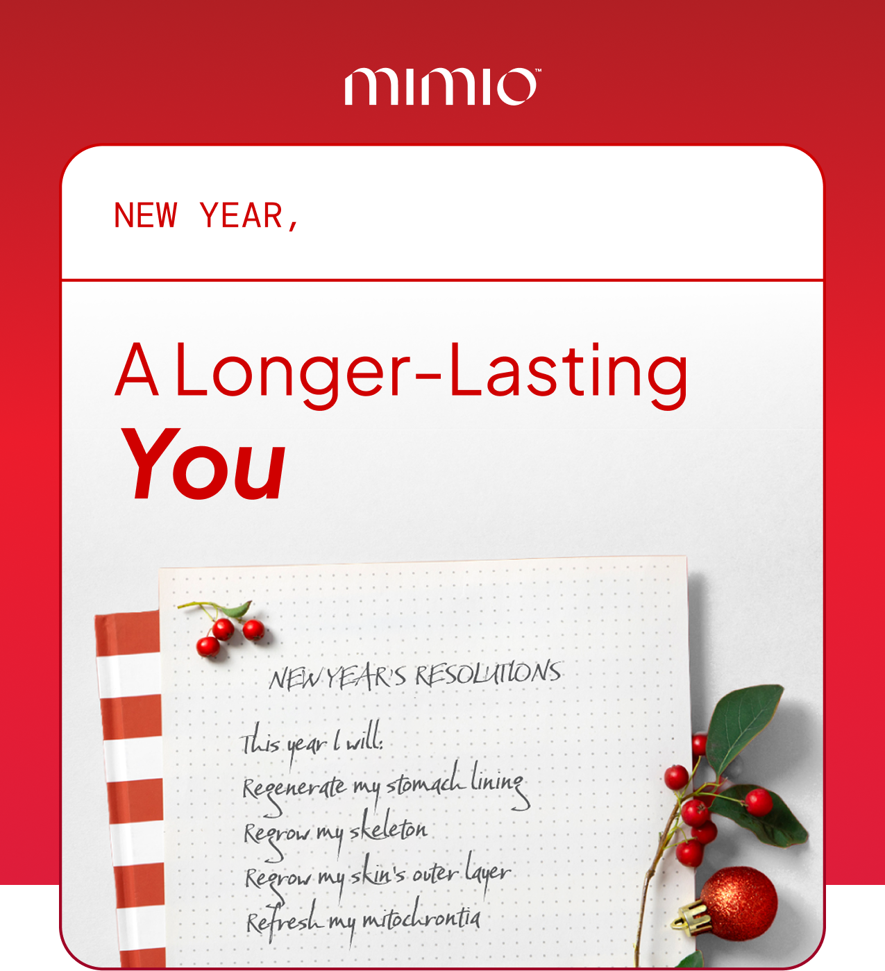 Mimio Holiday Gift Guide
