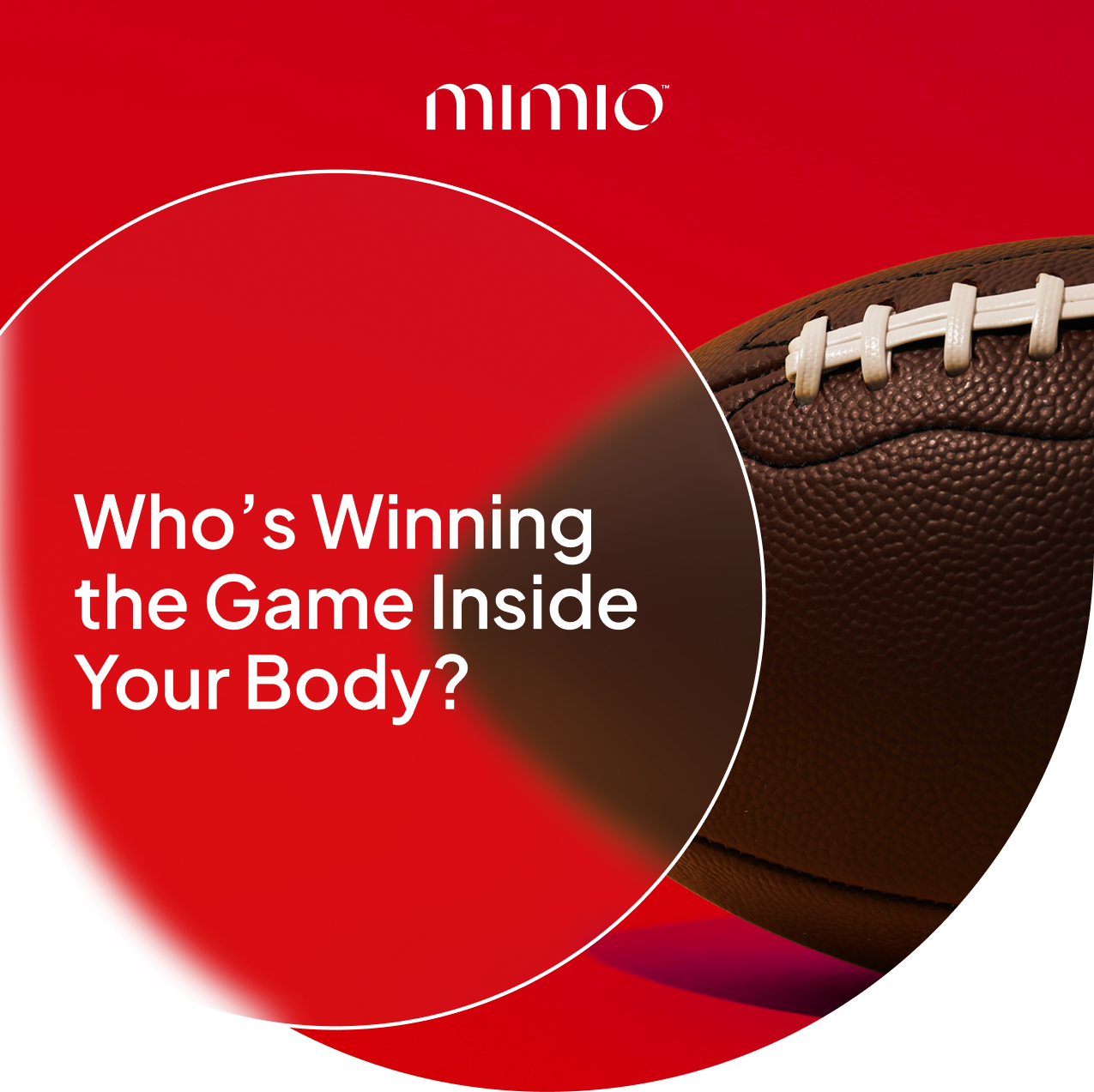 Mimio Holiday Gift Guide