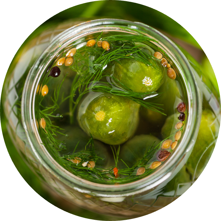 Image of cucumbers in a jar with spices