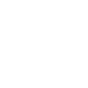 Pinterest Icon