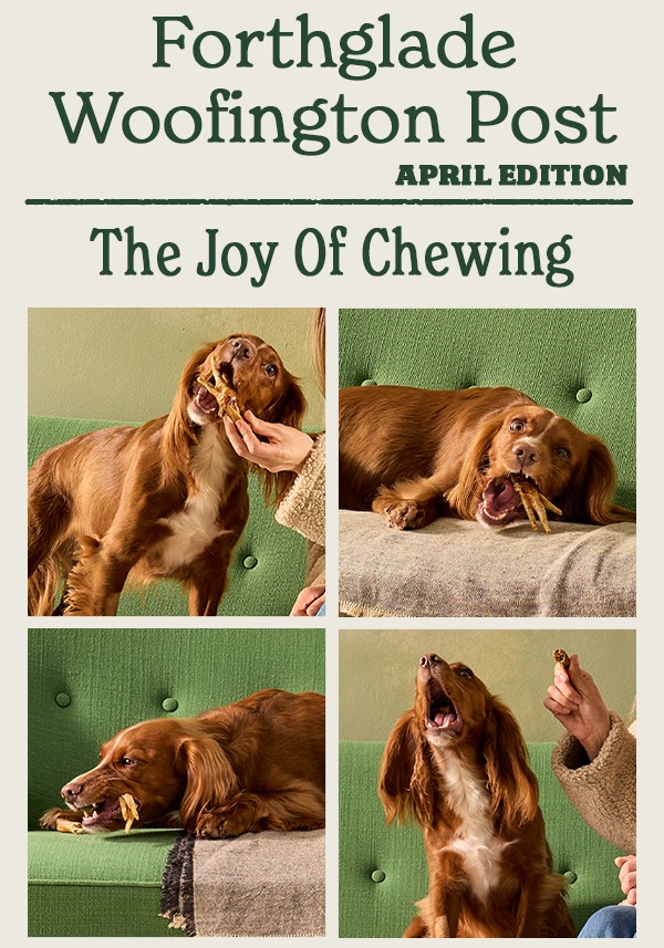 April Woofington Post