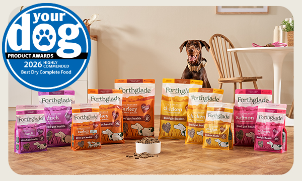 Highly commended 'Best Dry Complete Food'