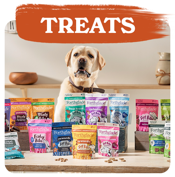 Shop Dog Treats