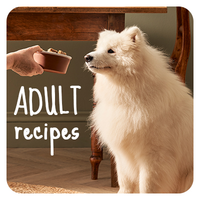 Adult recipes