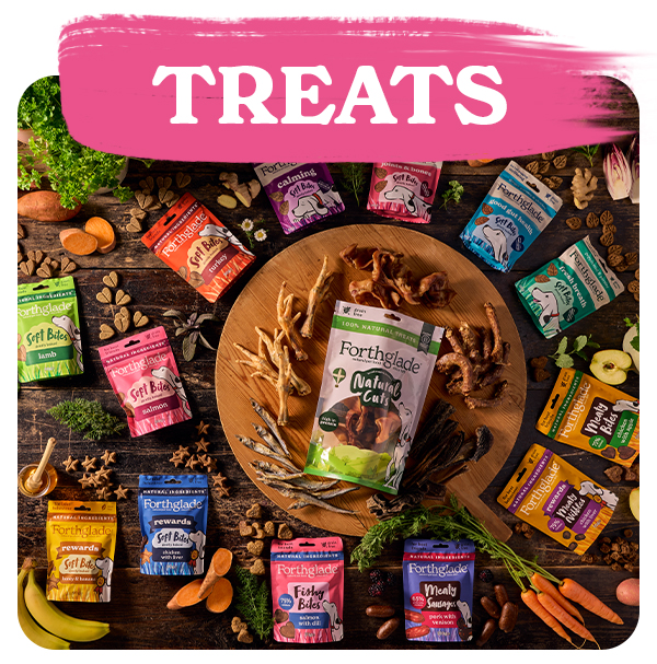 Shop Dog Treats