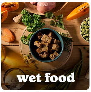 Wet Food