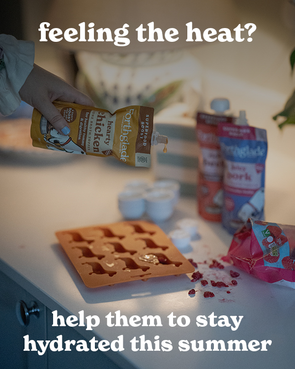 Top tips on how to help keep your dog hydrated this summer