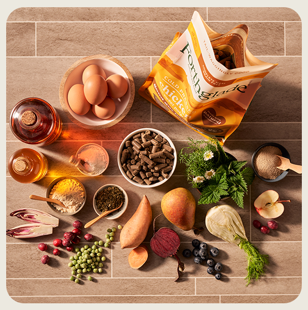 Sensitive stomach dog food