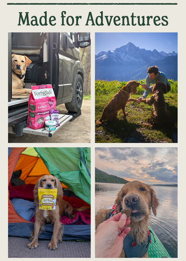 Made for adventures