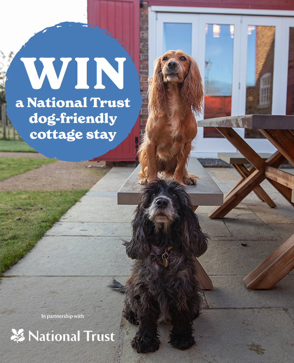 Win a national trust holiday!