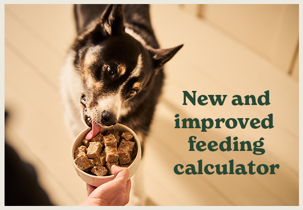 New and improved feeding calculator