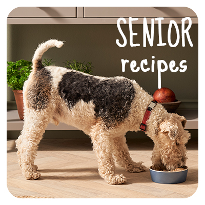 Senior recipes