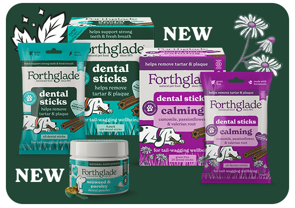 NEW! Dental Range