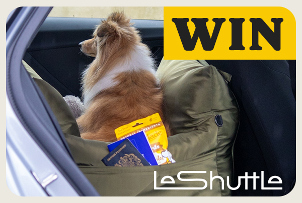 LeShuttle Competition