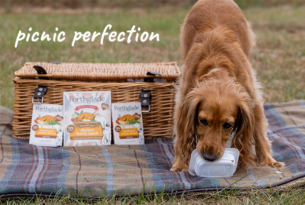 Wet food helps support hydration
