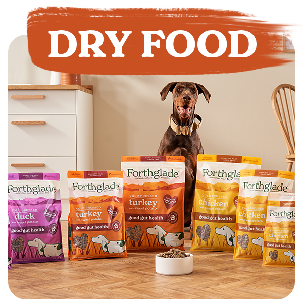 Shop Dry Dog Food