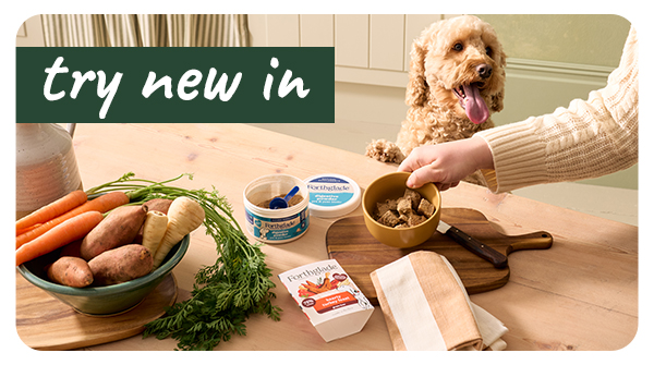 Shop our latest products