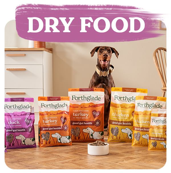 Shop Dry Dog Food