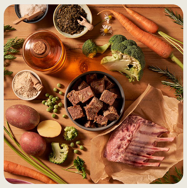 Sensitive skin dog food