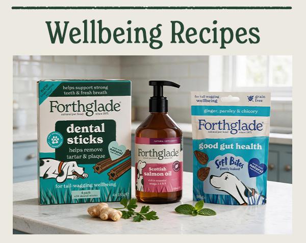 Wellness & Wellbeing Recipes