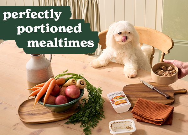 A white dog licks its lips at a table with dog food and fresh vegetables.