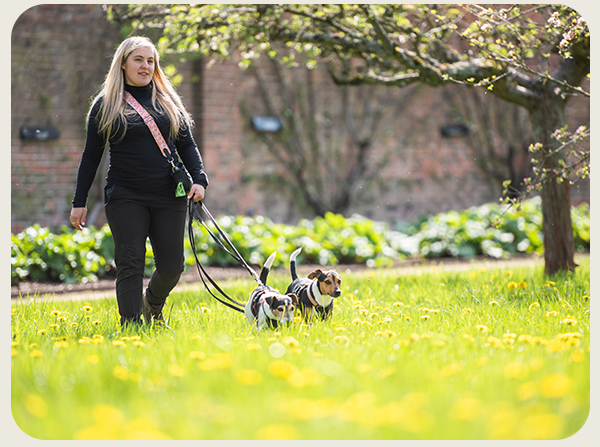 Discover dog-friendly walks