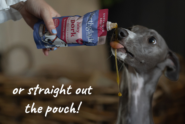 What are dog food Toppers?
