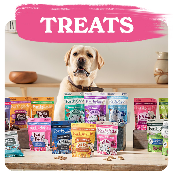 Shop Dog Treats