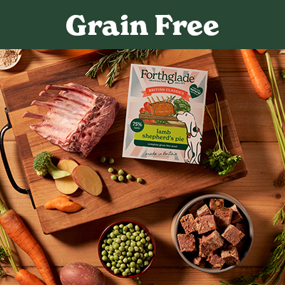grain free