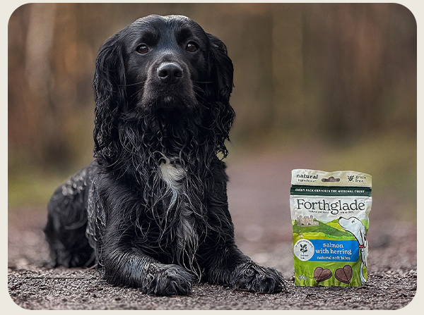 Our partnership with National Trust