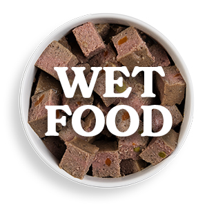 Wet Food