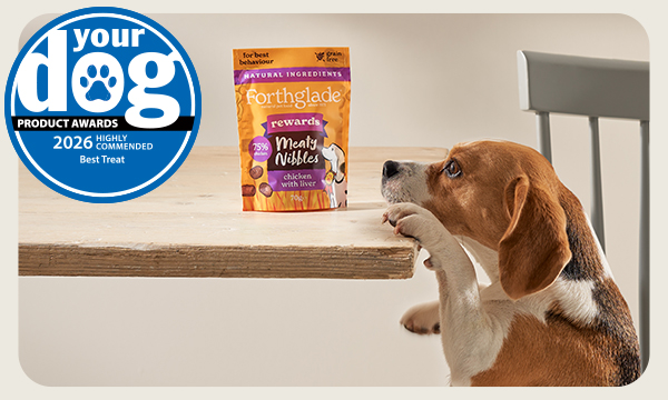 Highly commended 'Best Treat'