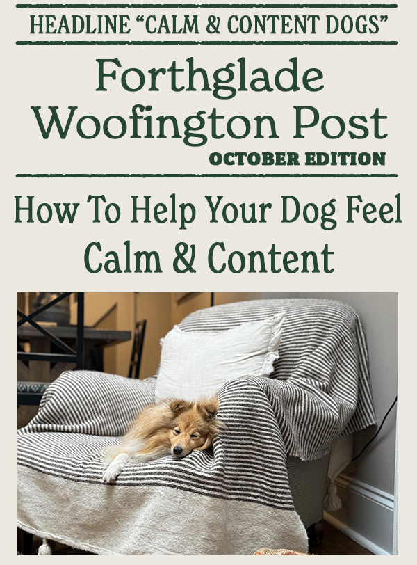 Forthglade Woofington Post October Edition