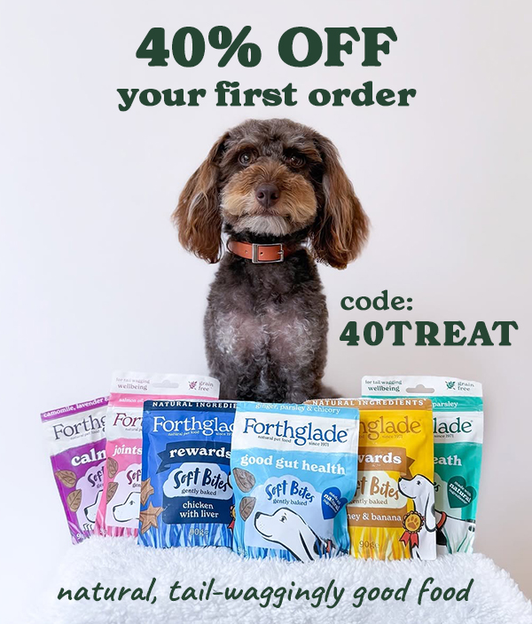 Shop now and save 40%