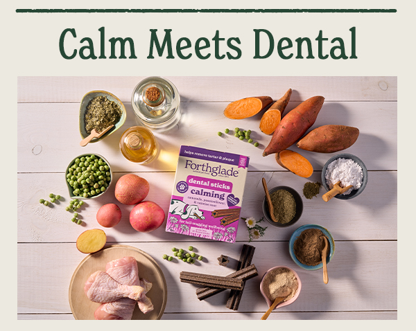 Our Latest Calming Dental Sticks