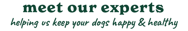Meet our experts